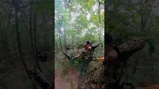That Muzzy 3 blade hit this Doe harrrrd&hellip; #hunting #saddlehunting #bowhunting #fyp #hunter