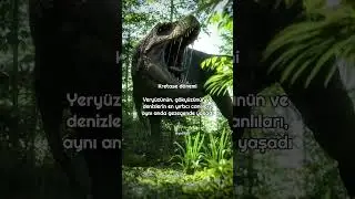 D&uuml;nyanın en korkutucu d&ouml;nemlerinin hikayesi.
