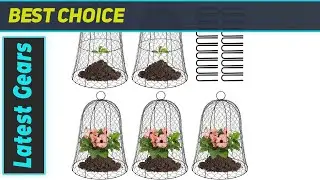 Coloch Chicken Wire Cloches: Effective Plant Protection?