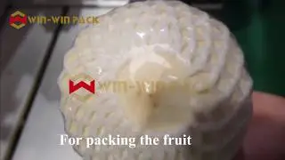 WIN-WIN PACK Automatic vegetable fruit meat stretch cling film tray wrapping machine/Food wrapper