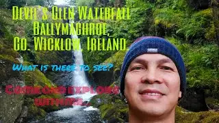 Devil's Glen Waterfall, Ballymaghroe, Co. Wicklow, Ireland.