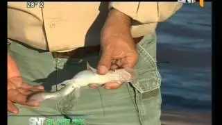 SNT al Natural Lago Ypakarai  13 03 15