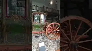 the 