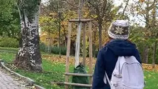 Где погулять в Праге осенью? Парк Риегровы Сады -- отличное место для отдыха.