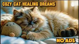 12 Hours Cozy Cat Healing Dreams 🐾🌙 | Calm, Relaxation & Anti-Anxiety Sleep | Deep Sleep Better