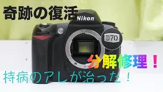 【ジャンク修理】Nikon D70を分解修理！CHRの修理方法公開