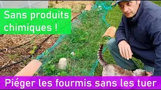 Fabriquer un Piège à Fourmis sans les Tuer !