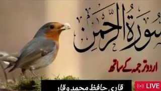 Surah Al Rahman Real Time Live - Recording