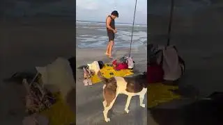 Week 1 | Beach workout in Goa | Fitness party on the beach in Goa, India #shorts #youtubepartner