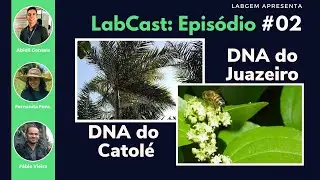 Qualidade do DNA do Catol&eacute; e Juazeiro | LabCast #02