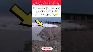 People Running in Fear as Floods Rage On #foryou #viralvideo #needypeople #allahuakbar #shorts #like