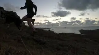 Alfie adventures running up Carn Llidi