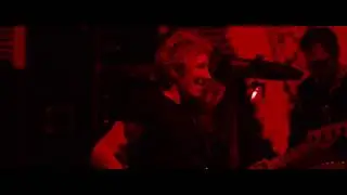 Roger Waters   Pigs