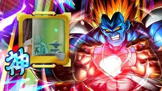 (Dragon Ball Legends) THIS NEW RECENT AWAKENED EQUIPMENT MAKES LF ANDROID 13 AN INDESTRUCTIBLE WALL
