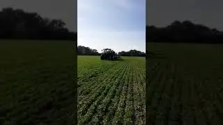 semis bl&eacute; dans du tr&egrave;fle au techmagri