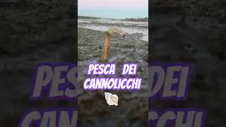 Come pescare Cannolicchi o Cappelunghe usando sale da cucina. #cannolicchi #cappelunghe #razorclams