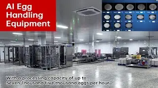 AI Egg Handling Equipment