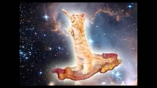 Senor ANTRON kittens & ponies