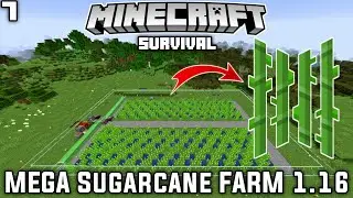 Minecraft Survival 1.16+ - MEGA SUGARCANE/PAPER FARM | Episode 7 (FazyCraft)