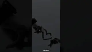 Fell the Bgm✨💕🥀..#tamibgm#instagram #bgm #tamil #love #explorepage #lovesong #shortvideo