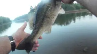 Just a lil topwater action from the Dam.