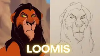 How To Draw a Disney Head Using Loomis Method