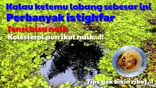 KETEMU LAPAK SEPAT SIAM YANG BIKIN TENSI DAN KOLESTEROL NAIK//VLOG#52