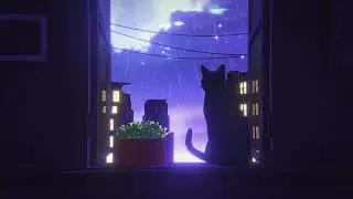 Rainy Window View 🐱 Chill Music with Cat & City Lights