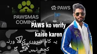 paws project mein wallet kaise connect Karen how tu connect wallet good update full detail 🫷