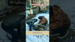 Frozen Paws, Warm Hearts: Cat Saved from Ice #short #animalrescue #heartwarmingrescue #heartwarming