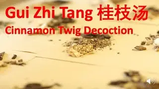 6 Chinese Herbal Medicine (Formula) - Gui Zhi Tang (Cinnamon Twig Decoction) 桂枝汤 -中医 中药 方剂