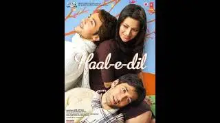 The Epic Journey of Love: A Summary of 'Haal-e-Dil' Movie