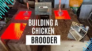Baby Chick Prep&mdash;New Brooder, Big Plans!