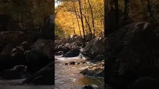 Asmr Water flowing video short #shorts