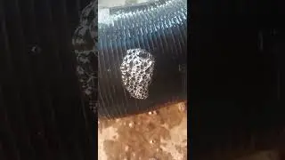 Bikepuncture #repair  #mechanical #shorts #trending  #puncture #youtubeshorts #newshorts #viralreels