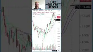 Stocks I am Buying Today - CURA Curaleaf Holdings - Stock Picks 2021