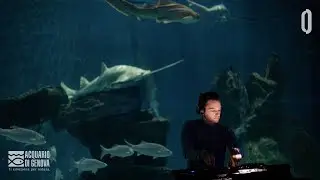 ZERO. at Acquario di Genova | Ep.01 | NO LIMITS. by ZERO.