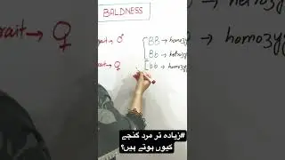 زیادہ تر مرد گنجے کیوں ہوتے ہیں؟ Baldness Causes, Treatments & Prevention Tips | Hair Loss
