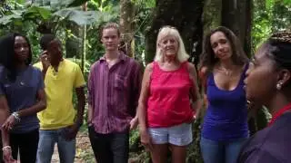 Rainforest Adventures St Lucia
