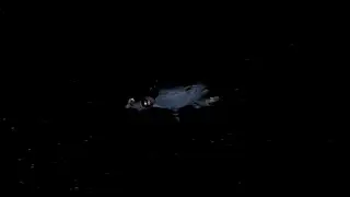 Predator Vision Scenes