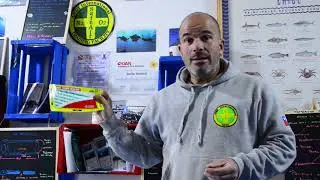 Experiencias de Buceo para un Buceo Seguro