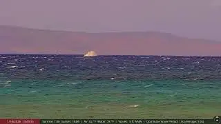 Spotted on live camera in Maui Hawaii 5th January 26 - Humpback whale Breaches