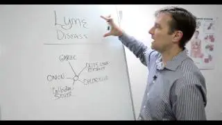Lyme Disease and the Natural Solution