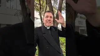 ¿Te has sentido menospreciado o no valorado? #PadreAlbertoCutié #TalkShowPriest