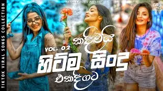 Nethaga Music Top 10 Hits Vol. 2 | Best Sinhala Songs Collection | 2023 New Songs | Audio Jukebox
