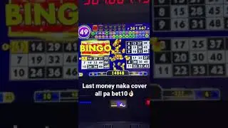 Electronic bingo bet 10 cover all