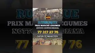 Rubrique prix l&eacute;gumes march&eacute; de Notto Gouye Diama
