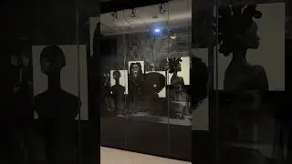 Dayton Skywalk Minneapolis Art: Masue Kamara #art #wellness #shorts #omlko