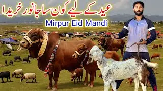 What We Bought For Eid Ul Adha 2025 | Mirpur Mandi Eid 2025