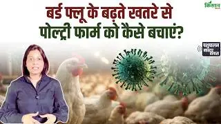 Bird Flu Alert: बर्ड फ्लू क्या है, कैसे फैलता है और Poultry Farming के लिए कितना खतरनाक है। Virus